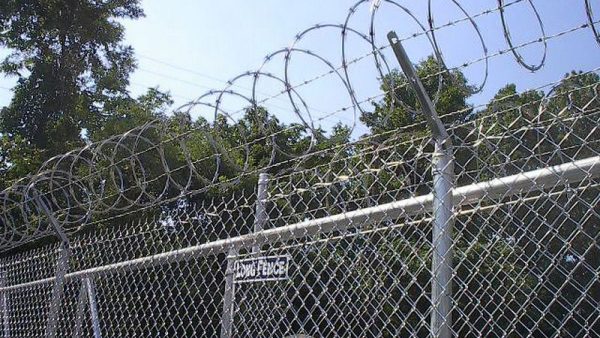 Razor Wire - Image 2